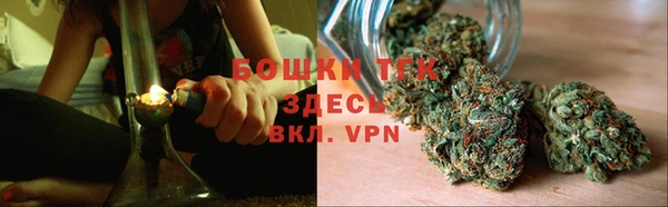 шишки Баксан