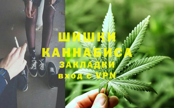 шишки Баксан