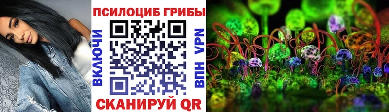 Псилоцибиновые грибы ЛСД  OMG ссылки  Калининец 