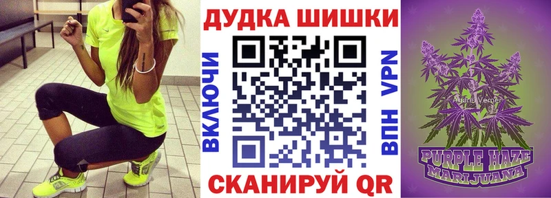 закладка  Калининец  Бошки Шишки ГИДРОПОН 